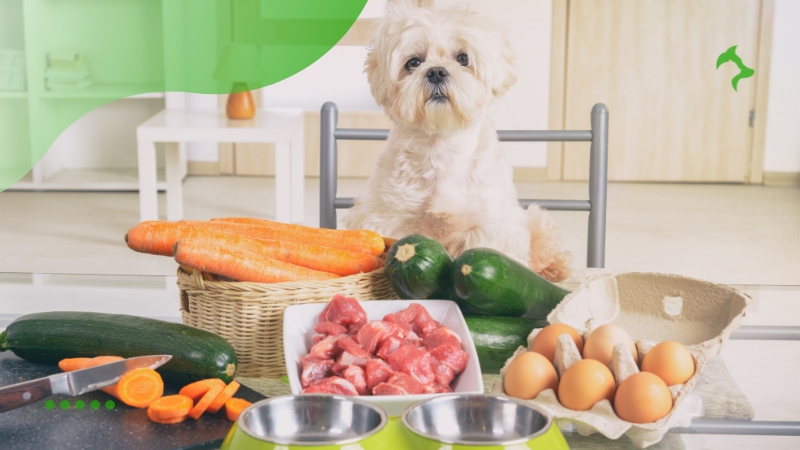 Tratamentos Naturais para a Artrite em Cães Tratamentos Naturais para a Artrite em Cães