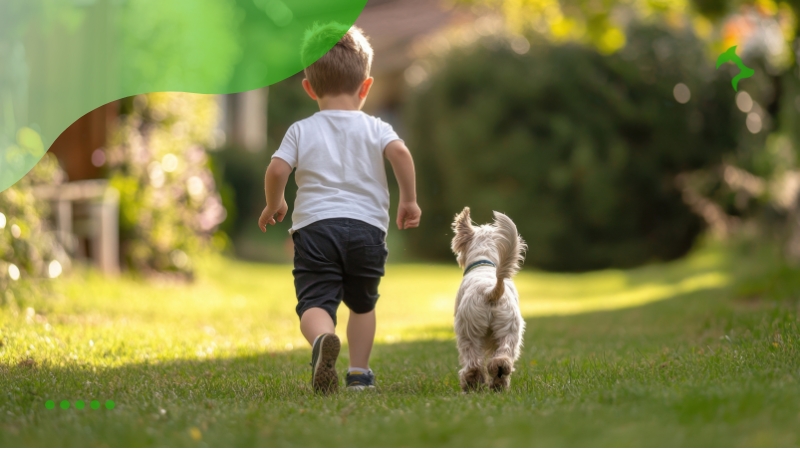 Melhores Cachorros de Raça para Crianças para Socializar em Família Melhores Cachorros de Raça para Crianças para Socializar em Família