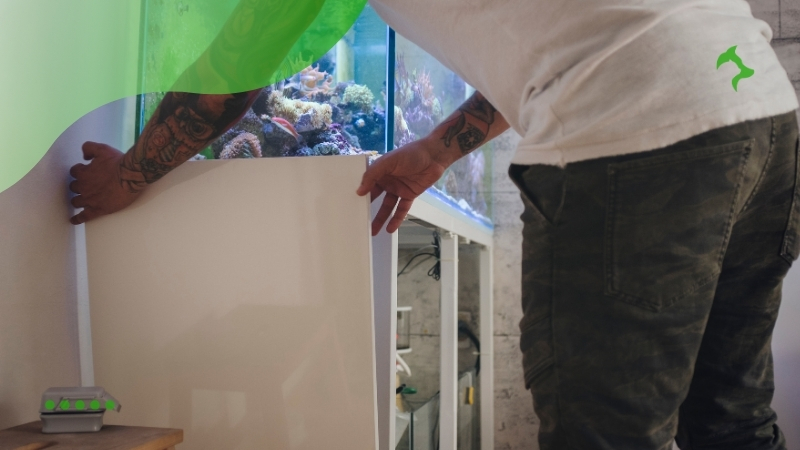 Dicas para Montar Aquário de Água Doce Ideal Dicas para Montar Aquário de Água Doce Ideal