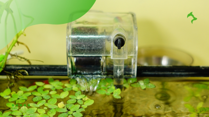 Manutenção Regular do Filtro do Aquário com Técnicas Corretas Manutenção Regular do Filtro do Aquário com Técnicas Corretas