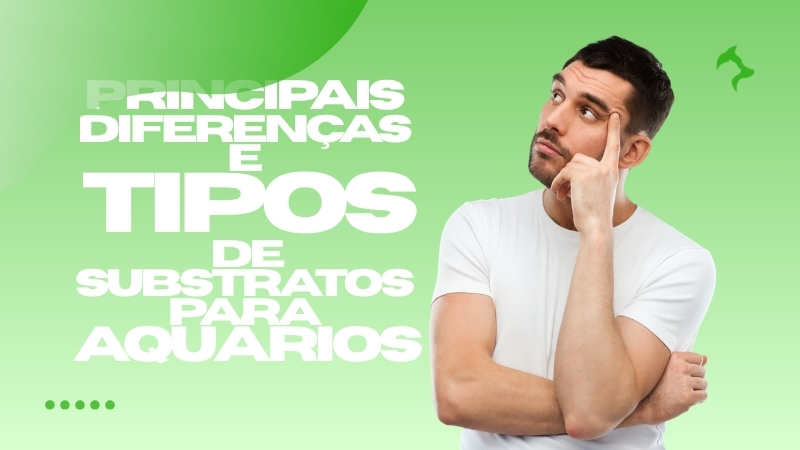 Principais Diferenças e Tipos de Substratos para Aquários Principais Diferenças e Tipos de Substratos para Aquários