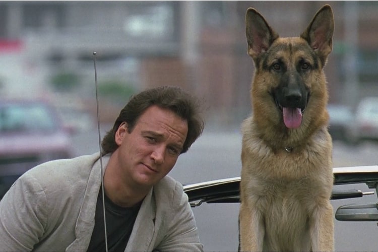  K9: Um Policial bom pra Cachorro, ao lado de James Belushi. O filme forma o time mais encarador do cinema, que luta contra quadrilhas de tráfico de drogas. Seu primeiro filme em 1989, foi grande sucesso, logo após isso, tiveram mais duas versões, lançadas em 1999 e 2002. 