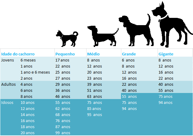 Conheça os mitos e verdades sobre cães e gatos  