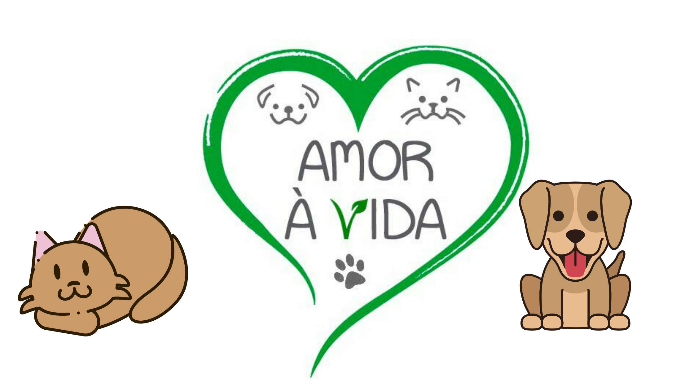 Conheça o Grupo Amor a Vida: Protetores de animais