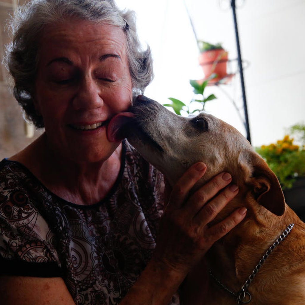 Felicidade Canina na Terceira Idade: Cuidados Essenciais!