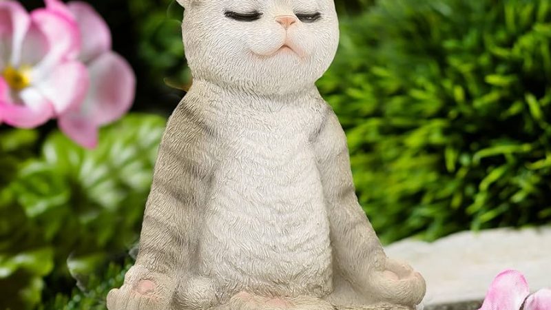 Gatos meditantes: a surpreendente ligação com a arte