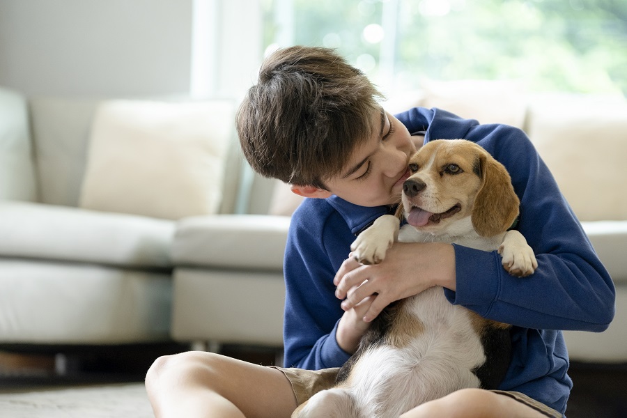 Cachorros e crianças autistas: Uma conexão terapêutica.