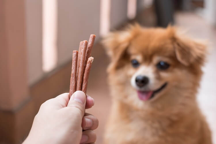 Delícias naturais para cãezinhos: Desvendando mitos e verdades!