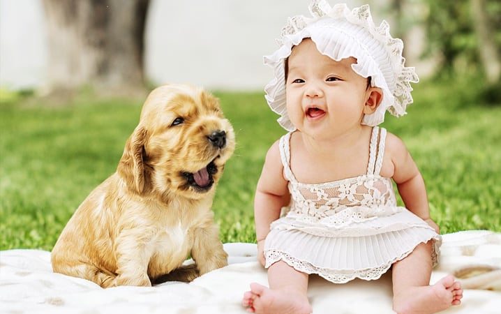 Harmonia encantadora: Lar feliz para cãezinhos e bebês!