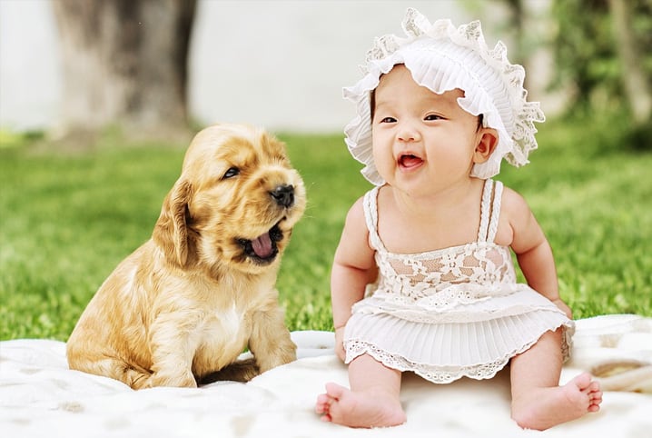 Harmonia encantadora: Lar feliz para cãezinhos e bebês!