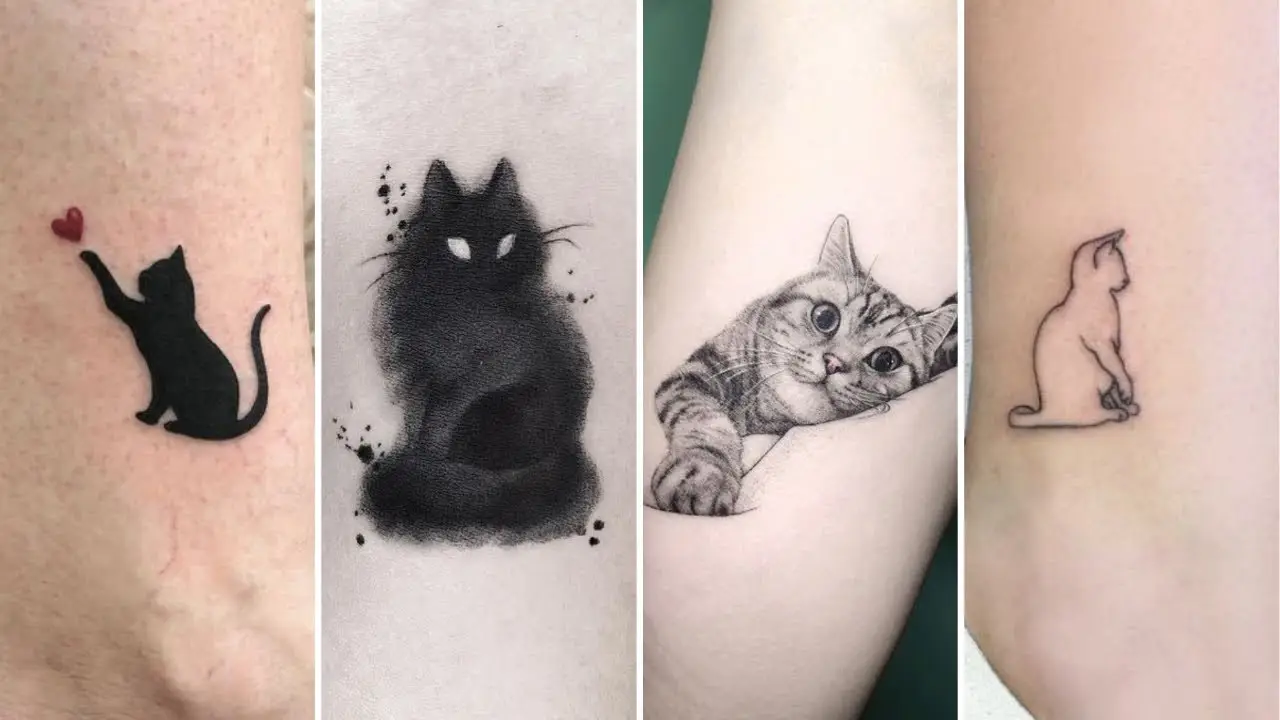 Meowgníficos ronrons: O encanto felino das tatuagens tradicionais!