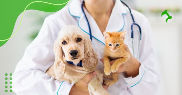 8 Cuidados Básicos com a Saúde de Cães e Gatos