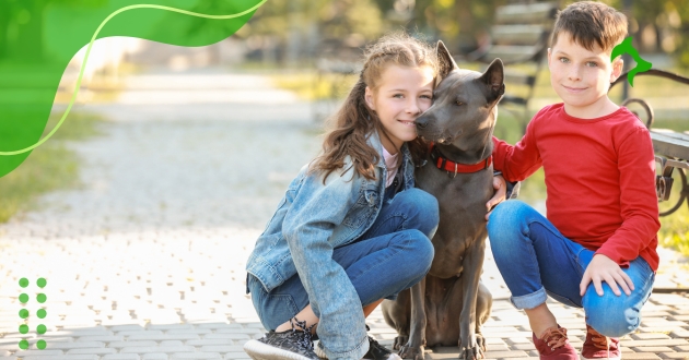 Quais Raças de Cães Adequadas para Crianças?