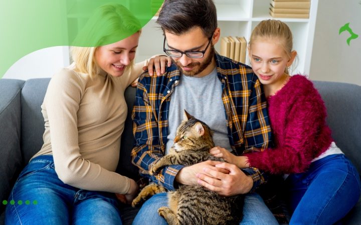 Raças De Gatos Ideais Para Famílias: Descubra As Melhores!