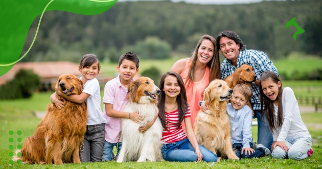 Cachorros Ideais para Famílias Grandes: Escolha o Companheiro Perfeito