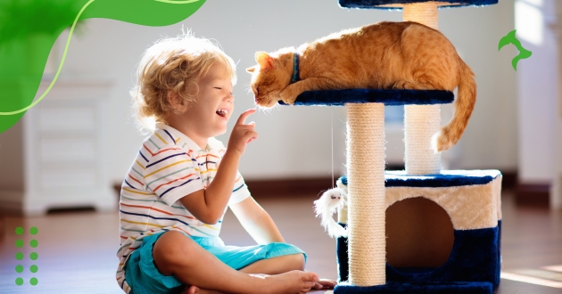 Raças de Gatos para Crianças que Proporcionam Companhia e Alegria