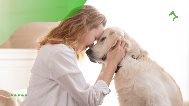 Dicas Práticas para o Conforto e Saúde do seu Animal