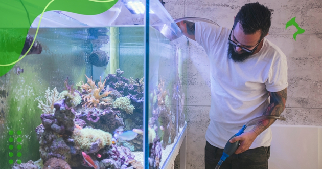 Dicas para Montar Aquário de Água Doce Simples e com Econômia