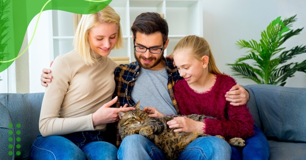 Gatos de Raça para Famílias: Escolha o Ideal para Sua Casa