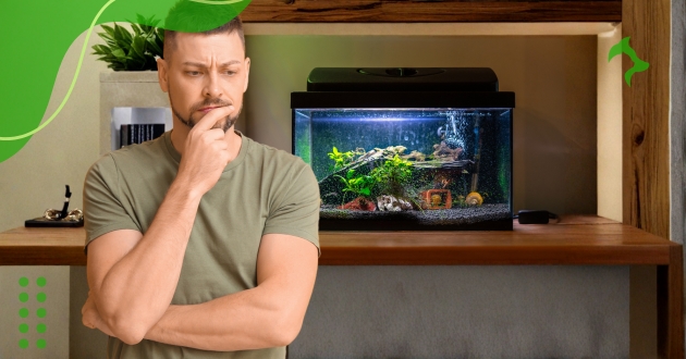 Dicas Cuidados Peixes Aquário: Guia Essencial para Iniciantes