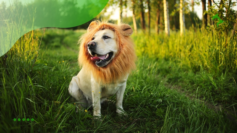 Raças de Cachorros Grandes mais Populares para Famílias no Brasil