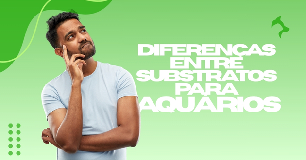 Diferenças entre Substratos para Aquários: Como Escolher o Ideal