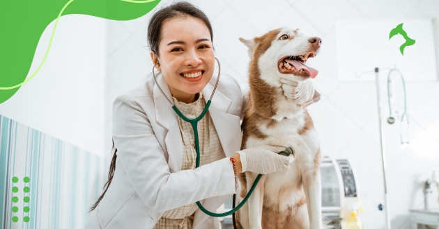 Vacinas Essenciais para Cães em Suas Fases da Vida